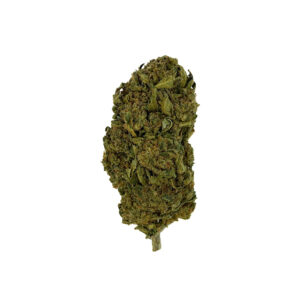 Buy Lemon Haze