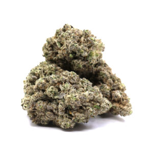 Jungle Fire - ($.$.$.$)