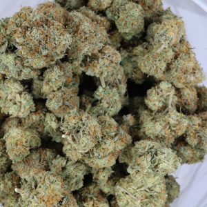 White Truffle - ($.$) - Image 2