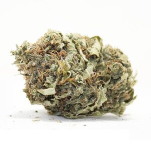 White Widow (Hybrid) Strain